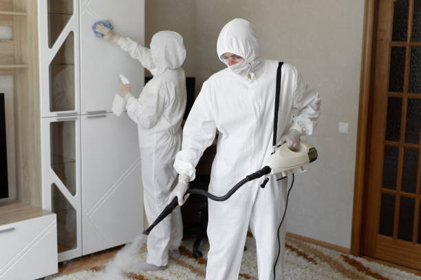 Best Fast Mold Removal  in Manti, UT